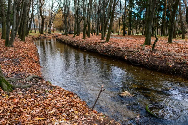 Fluss im Par — Stockfoto