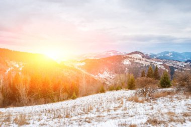 Doğal kış görünümü Karpat dağın zirvesinde