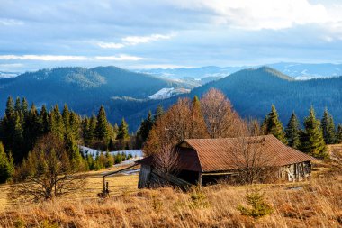 Doğal kış görünümü Karpat dağın zirvesinde