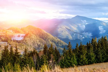 Doğal kış görünümü Karpat dağın zirvesinde