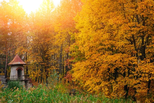 Старий зруйнований і порожній замок посеред осіннього лісу — стокове фото