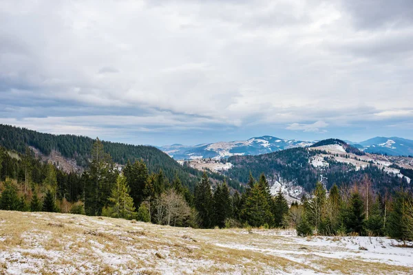 Живописный зимний вид на вершину Карпатской горы — стоковое фото