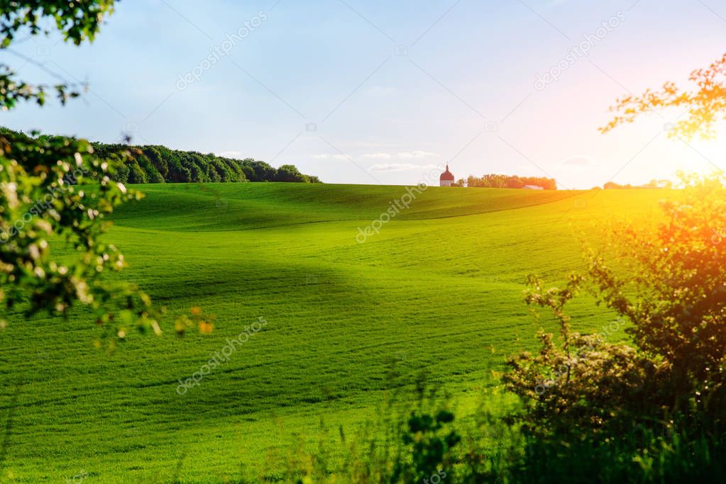 Morning landscape with green field, traces of tractor in sun rays