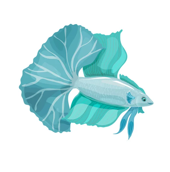 Betta bellica. Aquarium vector fish with a big tail. — Stock Vector