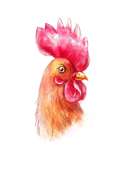 Portrait of a brown rooster in watercolor and colored pencil, ha — Stock Photo, Image