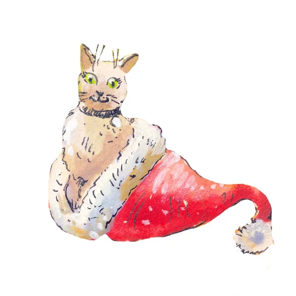 Kat in een kerstman hoed. Aquarel illustraton geïsoleerd op whi — Stockfoto