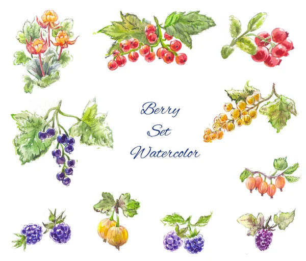 水彩浆果设置，黑莓，黑醋栗，醋栗，cl — 图库照片