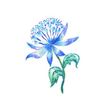 Sihirli mavi çiçek