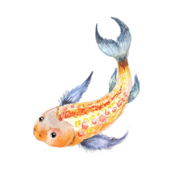 锦鲤水彩。黄金鱼隔离。阴阳符号. — 图库照片