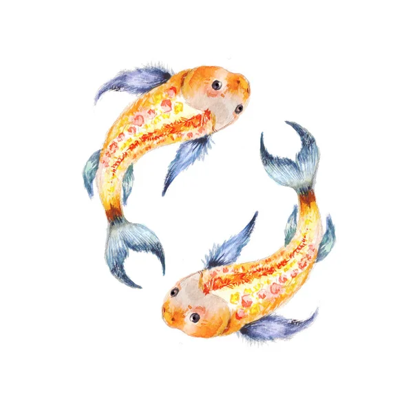 Koi fisk. Yin Yang symbol. Akvarell illusration isolerad på wh — Stockfoto