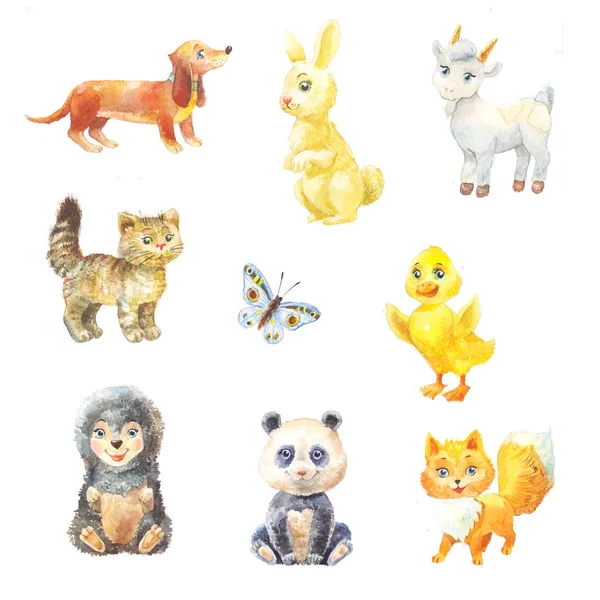 Set of watercolor baby animals suit for children's book. Illustr — Stock Photo, Image