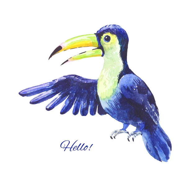 蓝色巨嘴鸟的水彩 — 图库照片