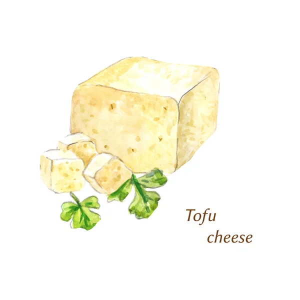 Aquarel tofu kaas — Stockfoto