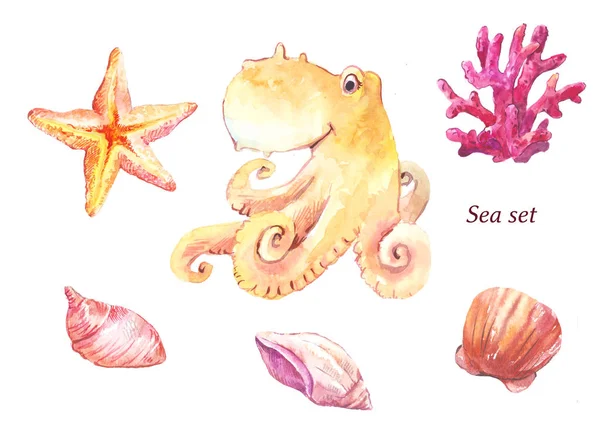 Акварель с морем. Осьминог, коралл, морская звезда, ракушки, моллюски . — стоковое фото