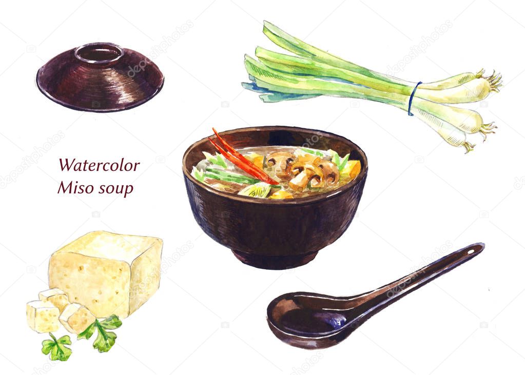 Miso sup set. Watercolor illustrations.