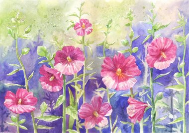 suluboya ebegümeci, poster için uygun