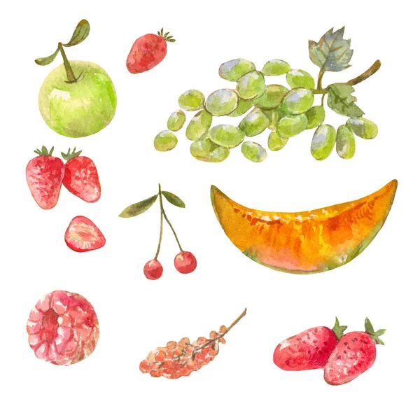 Ensemble de différents fruits russes dessinés avec de la peinture aquarelle. Malade. — Photo