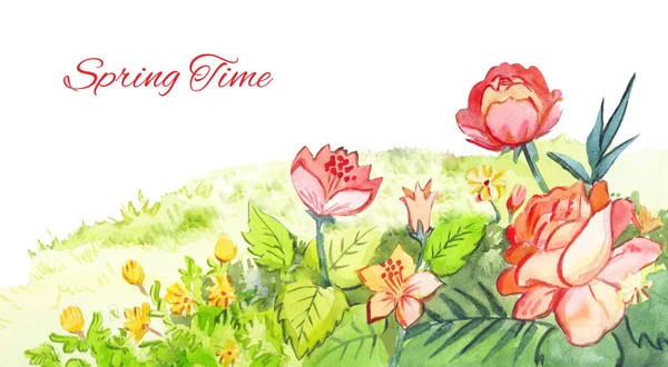 Spring watercolor footer. Red flowers drawing with watercolor pa — Stock Photo, Image