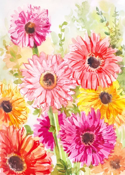 Ζωγραφική με νερομπογιές με ζέρμπερα ροζ, κίτρινο, κόκκινο. Λουλούδι poste — Φωτογραφία Αρχείου