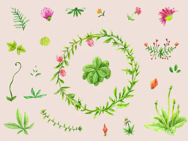 Akvarell av uppsättning blad, blommiga inslag och blommor. Hand Rita — Stockfoto