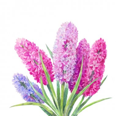  watercolor bouquet of hyacinths clipart