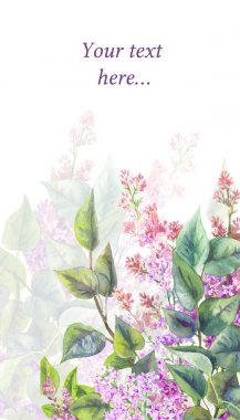 Beyaz bir arka plan üzerinde mor Lila. Suluboya resim 