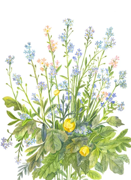 水彩画とワスレナグサ, の花束 — ストック写真