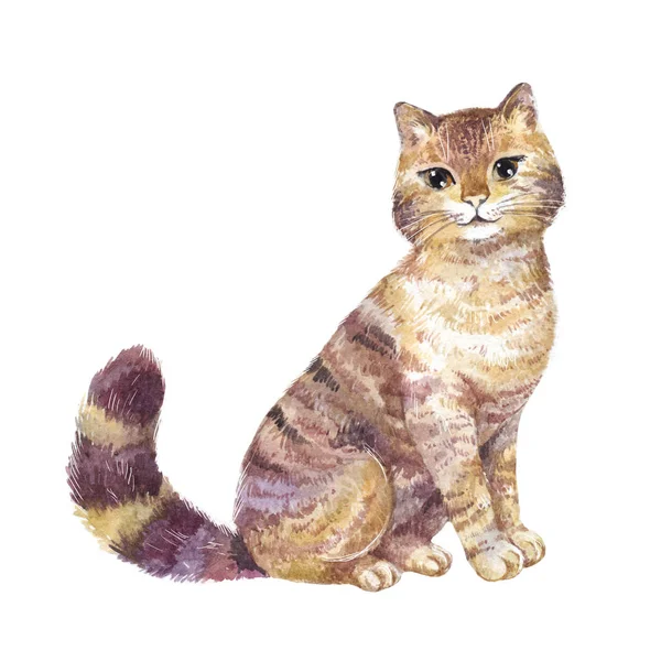 Akvarell söt katt illustration — Stockfoto