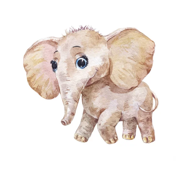 Pequeno elefante bonito, ilustração aquarela — Fotografia de Stock