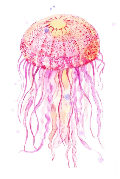 Акварельная иллюстрация медуз — стоковое фото