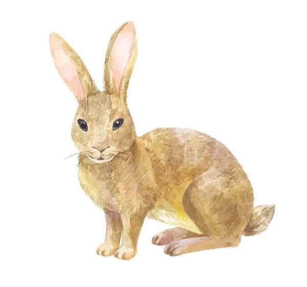 Conejo acuarela vector ilustración — Vector de stock