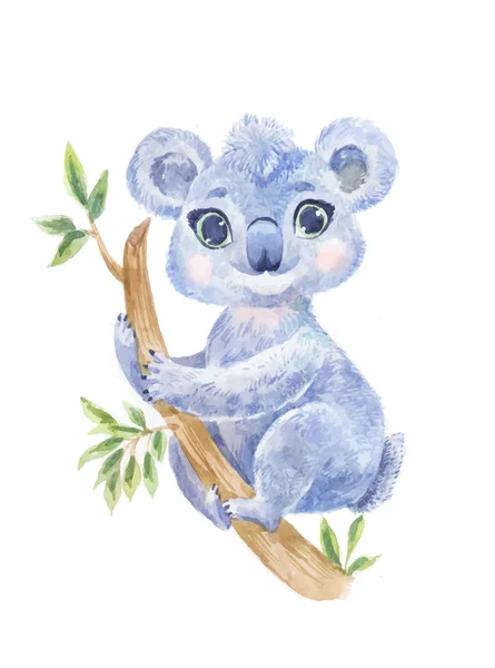 Koala aquarel vectorillustratie — Stockvector