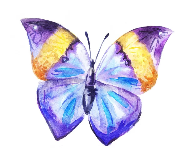 Purple Akvarel motýl — Stock fotografie
