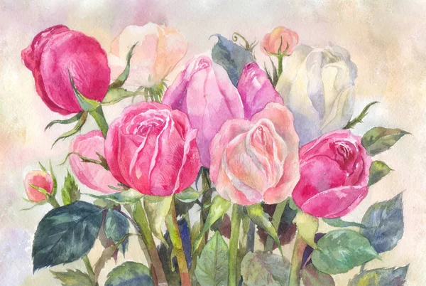 Rosa rosas aquarela ilustração — Fotografia de Stock