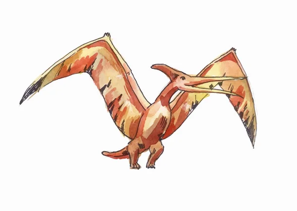 Fliegender Flugsaurier, Zeichnung mit Aquarell — Stockvektor