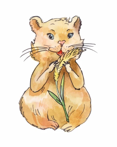 Aquarel hamster eten maïs, schets, kunst geïsoleerd — Stockvector