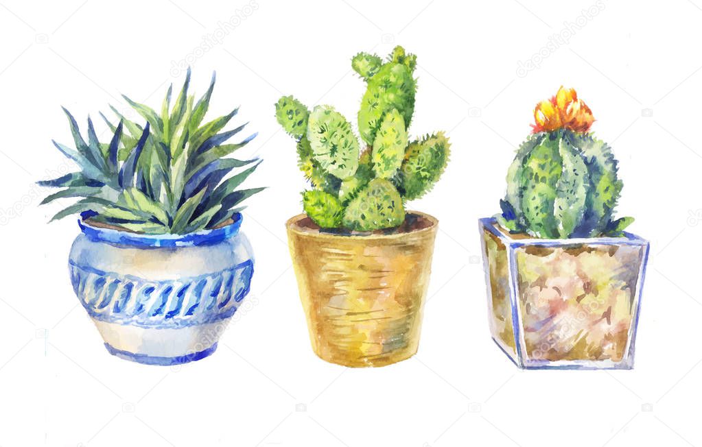 set of flowers in pots, indoor plants, watercolor illustration