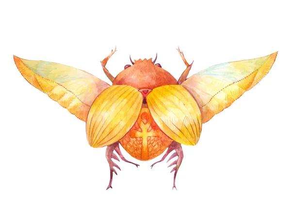 SCARAB skalbagge. Egyptisk symbol för solen. Akvarell illustration — Stockfoto