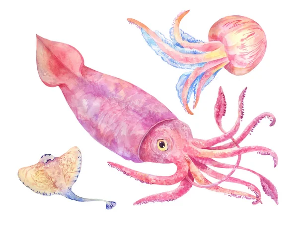 Squid, batoidea, ubur-ubur. Ilustrasi set laut — Stok Foto