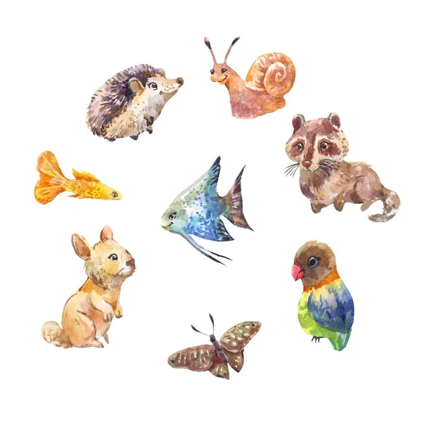 Conjunto de pequeños animales salvajes lindos. Dibujos de acuarela . —  Fotos de Stock