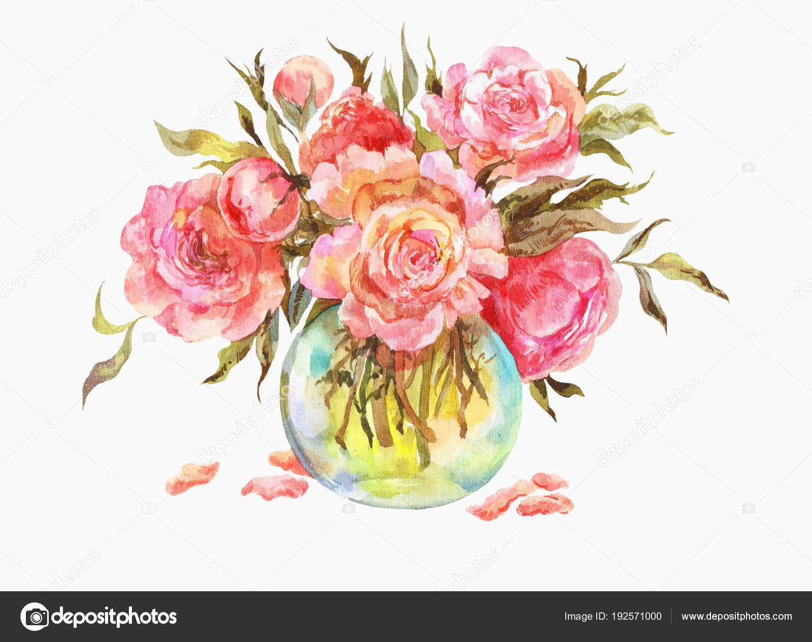 Pink Roses Or Peonies In A Glass Vase Watercolor Illustration