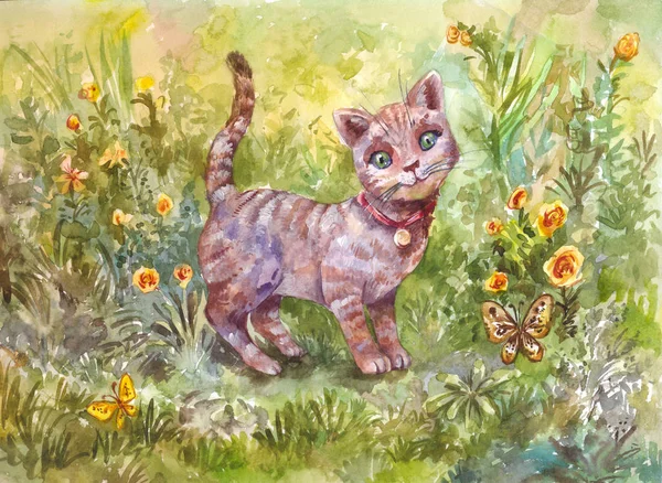 Aquarel illustratie van grijze kleine kat — Stockfoto