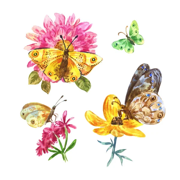 Набор акварельных бабочек на белом фоне — стоковое фото