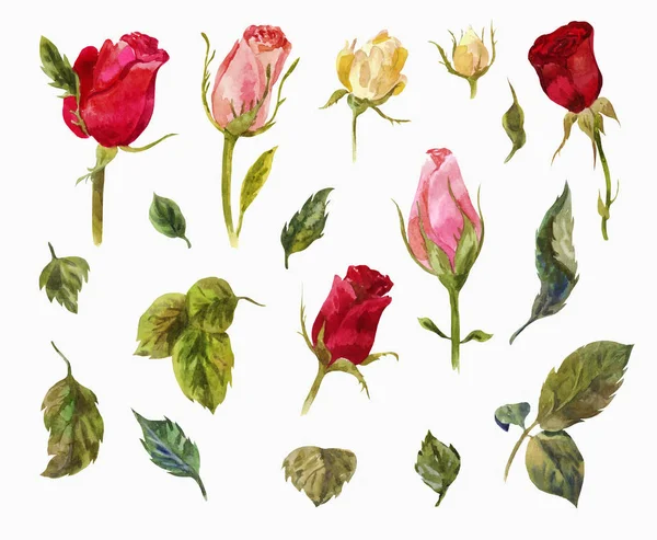 Akvarell Uppsättning Rosor Huvuden Och Blad Blommor Samling Vintage Element — Stockfoto