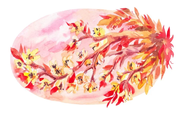 Sakura acquerello su sfondo cielo rosa. Illustrazione ovale in — Foto Stock