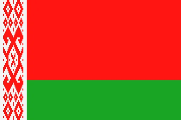 Vitryssland flaggikonen vektor platta — Stock vektor