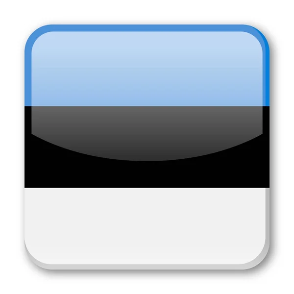 爱沙尼亚国旗向量正方形图标 — 图库矢量图片