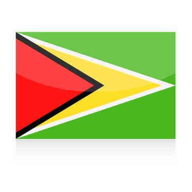 Guyana bayrak vektör simgesi