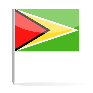 Guyana Bayrak Pin vektör simgesi