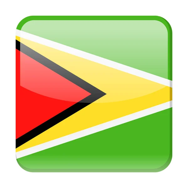 Bandera de Guyana Vector Square Icono — Vector de stock